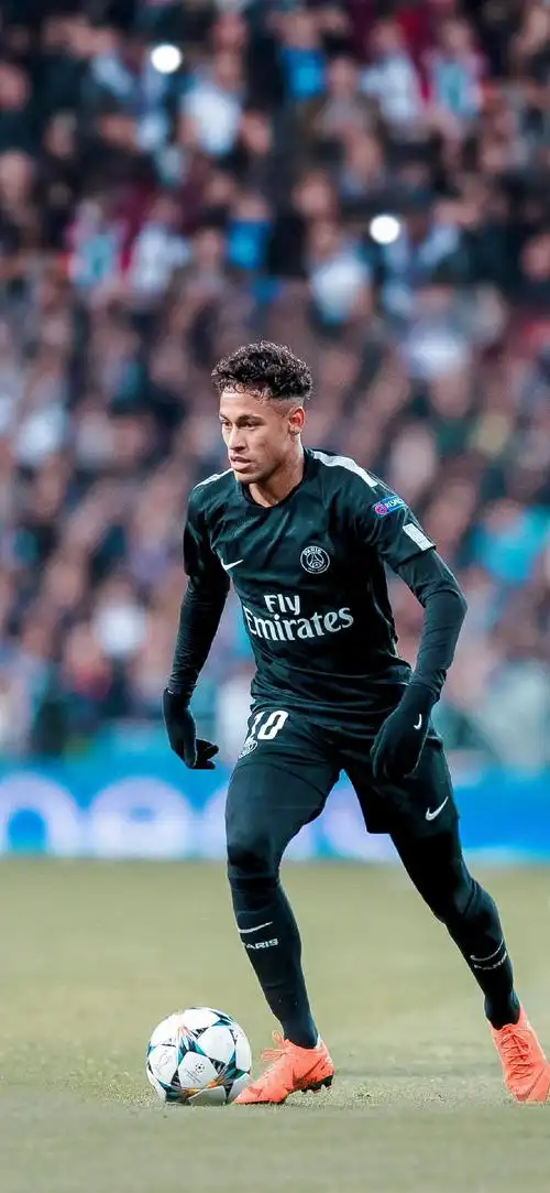 他的到来将 他的到来将